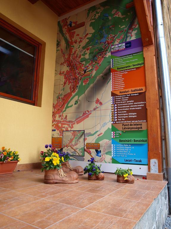 Pensiunea Elisabeta Sovata Exterior foto