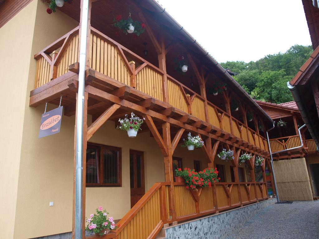 Pensiunea Elisabeta Sovata Exterior foto