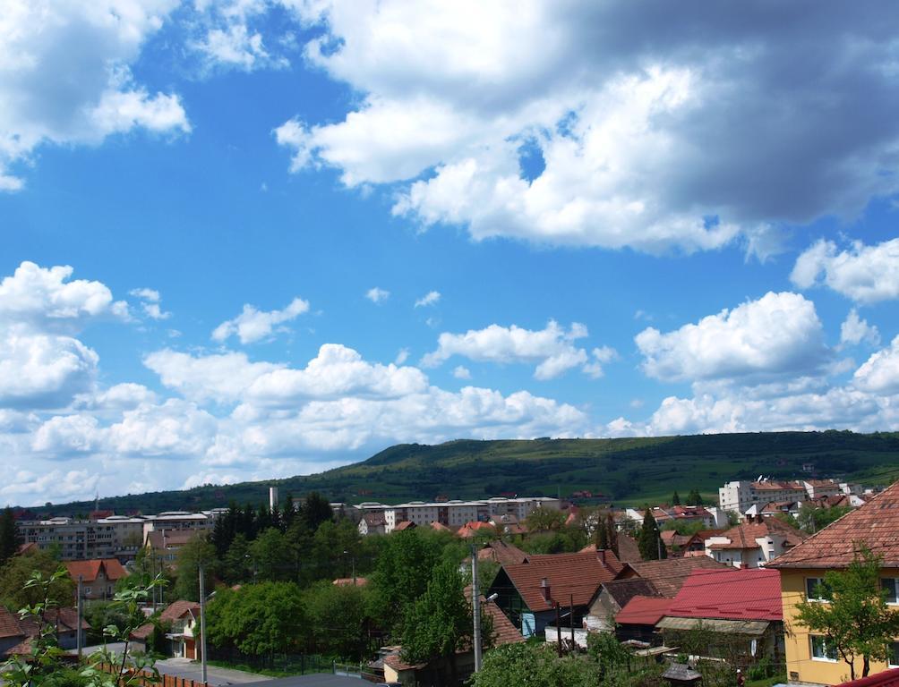 Pensiunea Elisabeta Sovata Exterior foto